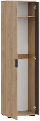 Шкаф ТриЯ Эвита для одежды Тип 1