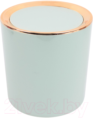 Контейнер для мусора Darvish DV-H-1843-1 - фото