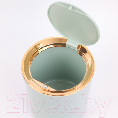 Контейнер для мусора Darvish DV-H-1843-1