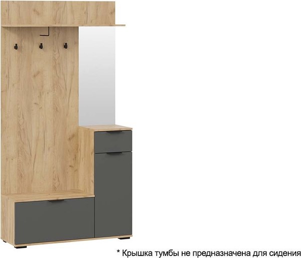 Секция в прихожую ТриЯ Эвита №1