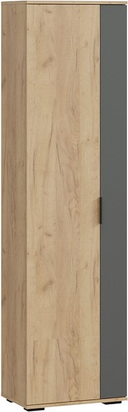 Секция в прихожую ТриЯ Эвита №1