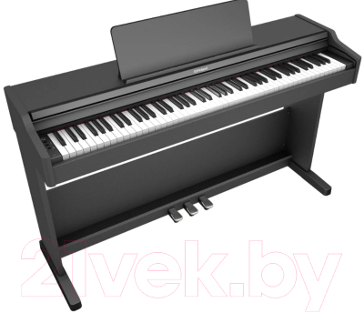 Цифровое фортепиано Roland RP-107-BKX