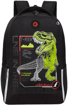 Школьный рюкзак Grizzly RB-451-9 - фото