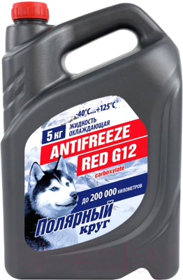 Антифриз Полярный круг G12 / 002001001011 - фото