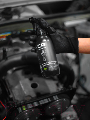 Очиститель двигателя Carville Racing S2020500