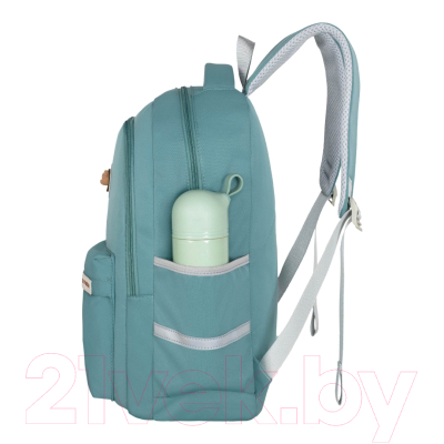 Школьный рюкзак Merlin M510 