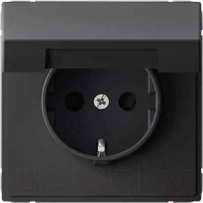 Розетка Systeme Electric ArtGallery GAL001046 - фото