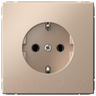 Розетка Systeme Electric ArtGallery GAL001243 - фото