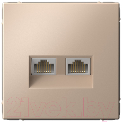 Розетка Systeme (Schneider) Electric ArtGallery GAL001288 - фото