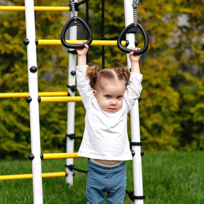 Игровой комплекс Romana Богатырь Плюс 2 / 103.12.06