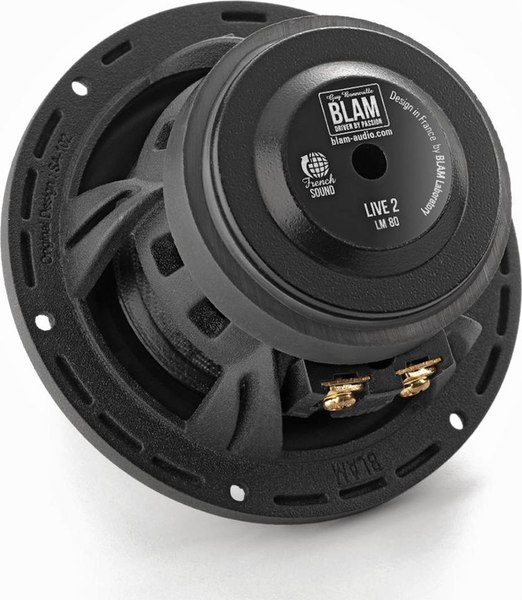 Среднечастотная АС BLAM LМ80