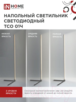 Торшер INhome ТСО 01Ч 12Вт RGB / 4690612049212