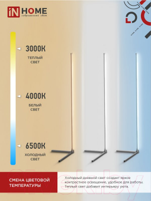 Торшер INhome ТСО 01Ч 12Вт RGB / 4690612049212