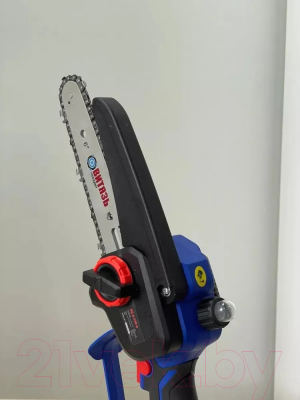 Пила цепная аккумуляторная ВИТЯЗЬ ПЦ-А-220-6