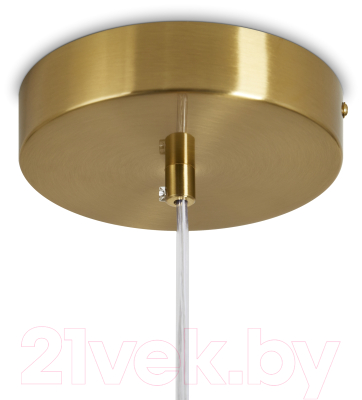 Потолочный светильник Freya Sabi FR6131PL-L10BS