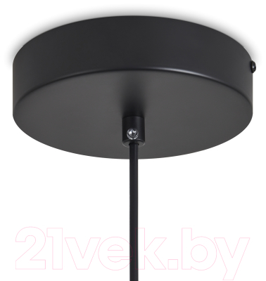 Потолочный светильник Freya Sabi FR6131PL-L10B