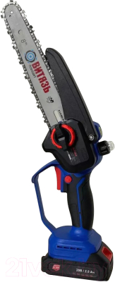 Пила цепная аккумуляторная ВИТЯЗЬ ПЦ-А-220-8