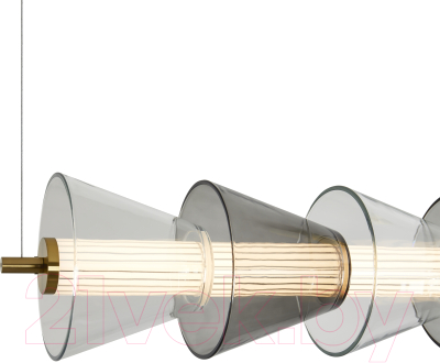 Потолочный светильник Freya Plum FR6137PL-L21BT1