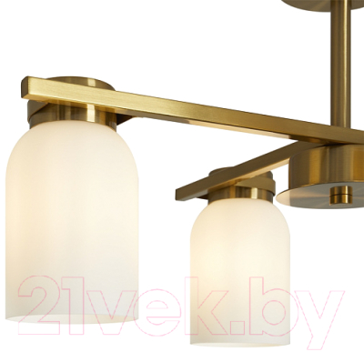 Люстра Freya Kamelia FR5446PL-04BS1