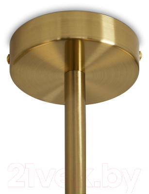 Люстра Freya Kamelia FR5446PL-04BS1