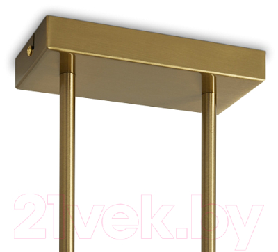 Люстра Freya Kamelia FR5446PL-04BS