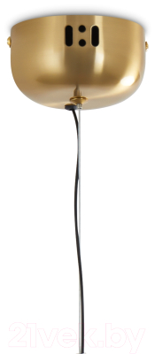 Потолочный светильник Freya Borbon FR5442PL-L11B