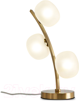 Прикроватная лампа Freya Donuts FR5444TL-03BS - фото