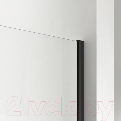 Душевая стенка Aquatek 110x200 / AQ WIW 11020BL