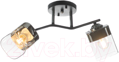 Потолочный светильник Aitin-Pro НПБ 02-2x60-101 / K2117/2 - фото