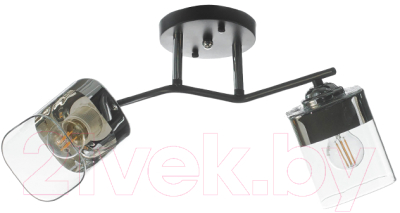 Потолочный светильник Aitin-Pro НПБ 02-2x60-101 / K2117/2