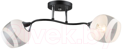 Потолочный светильник Aitin-Pro НПБ 02-2x60-101 / K2132/2 - фото