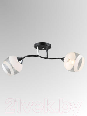 Потолочный светильник Aitin-Pro НПБ 02-2x60-101 / K2132/2