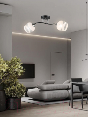 Потолочный светильник Aitin-Pro НПБ 02-2x60-101 / K2132/2