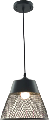 Потолочный светильник Aitin-Pro НСБ 01-60-101 / N5549/1H - фото