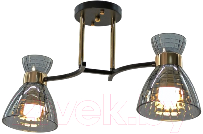 Потолочный светильник Aitin-Pro НПБ 02-2x60-101 / N5686/2 - фото