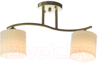 Потолочный светильник Aitin-Pro НПБ 02-2x60-101 / N5944/2 - фото