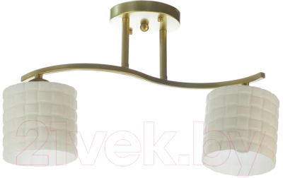 Потолочный светильник Aitin-Pro НПБ 02-2x60-101 / N5944/2