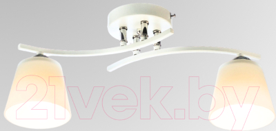 Потолочный светильник Aitin-Pro НПБ 02-2x60-101 / N5951/2 - фото