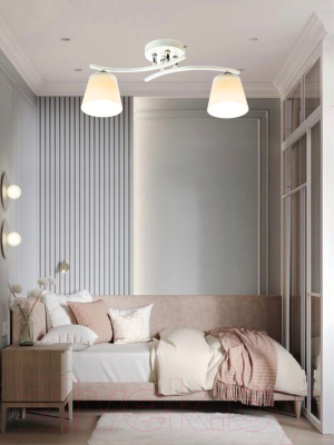 Потолочный светильник Aitin-Pro НПБ 02-2x60-101 / N5951/2