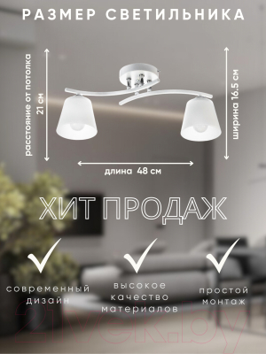 Потолочный светильник Aitin-Pro НПБ 02-2x60-101 / N5951/2