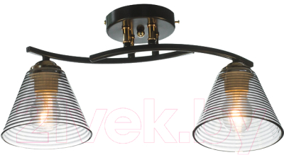 Потолочный светильник Aitin-Pro НПБ 02-2x60-101 / N5952/2 - фото