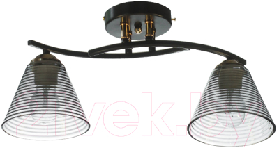 Потолочный светильник Aitin-Pro НПБ 02-2x60-101 / N5952/2