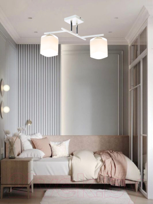 Потолочный светильник Aitin-Pro НПБ 02-2x60-101 / N5955/2