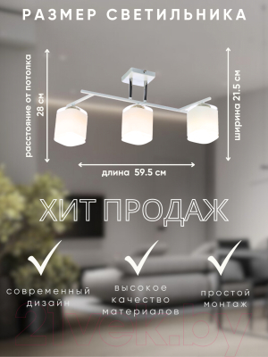 Люстра Aitin-Pro НПБ 02-3x60-101 / N5955/3