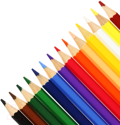 Набор цветных карандашей Koh-i-Noor Racoon / 3554024059KS