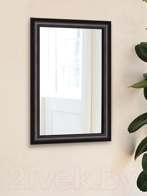 Зеркало Декарт Настенное в раме 8Л0153