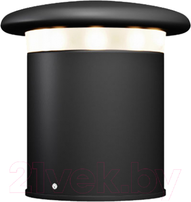 Светильник уличный Maytoni Grip O460FL-L10GF3K - фото