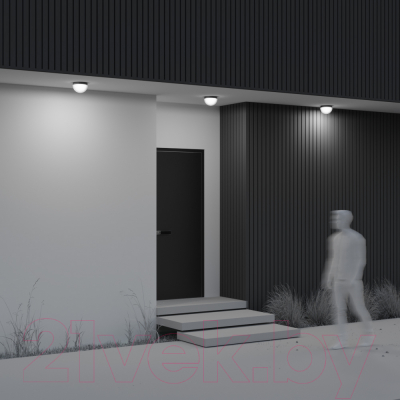 Светильник уличный Maytoni Mon O438CL-L12GF3K