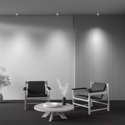 Точечный светильник Maytoni Ceiling C048CL-01-GU10-W