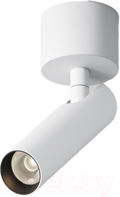 Спот Maytoni Ceiling C141CL-L125-6W4K-W - фото